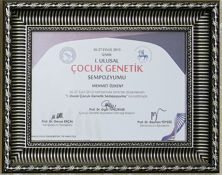 Sertifika